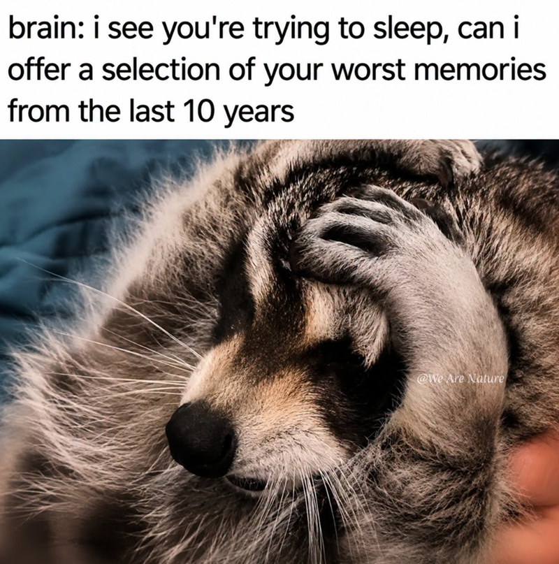 brain: i see you're trying to sleep, can i offer a selection of your worst memories from the last 10 years @We Are Nature