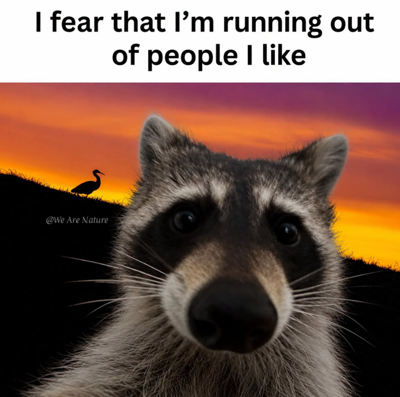 I fear that I'm running out of people I like @We Are Nature