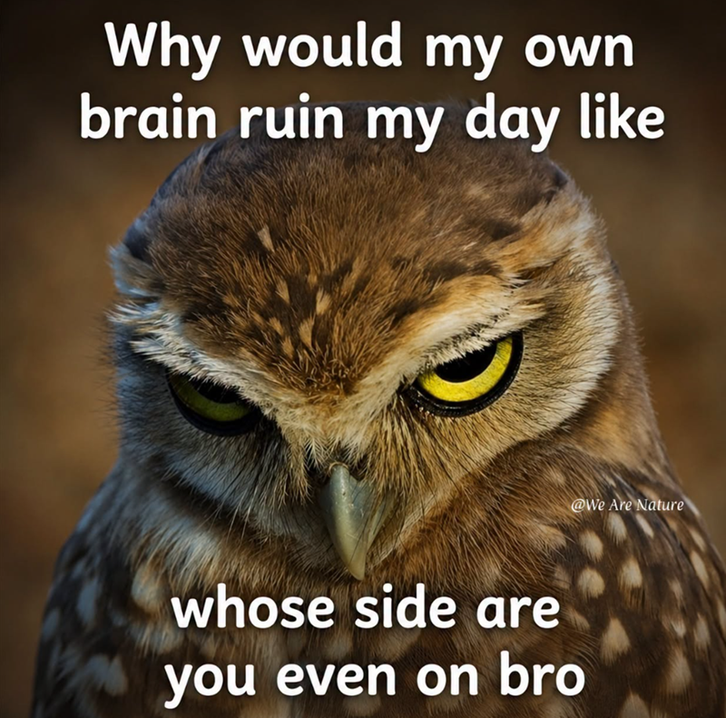 Why would my own brain ruin my day like whose side are you even on bro @We Are Nature