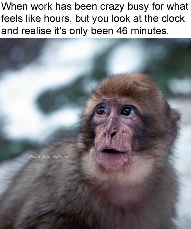 When work has been crazy busy for what feels like hours, but you look at the clock and realise it's only been 46 minutes. @We Are Nature