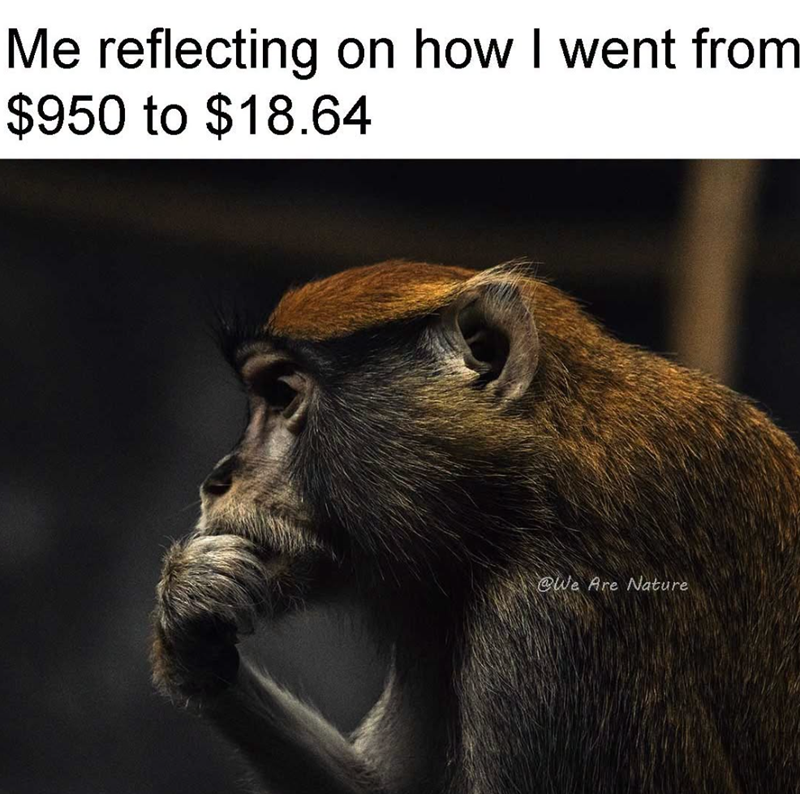 Me reflecting on how I went from $950 to $18.64 @We Are Nature