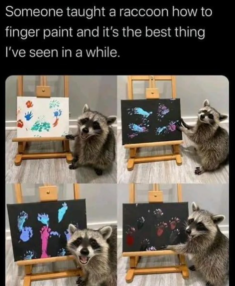 Someone taught a raccoon how to finger paint and it's the best thing I've seen in a while.