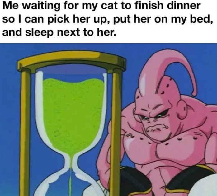 Me waiting for my cat to finish dinner so I can pick her up, put her on my bed, and sleep next to her.