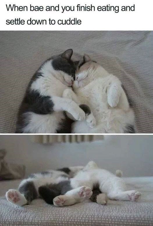 When bae and you finish eating and settle down to cuddle