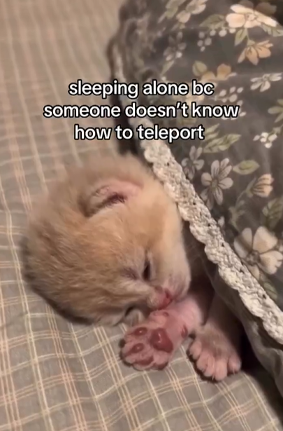 sleeping alone bc someone doesn't know how to teleport