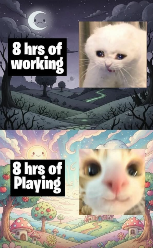 8 hrs of working 8 hrs of Playing