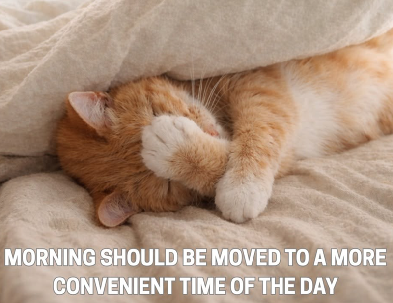 MORNING SHOULD BE MOVED TO A MORE CONVENIENT TIME OF THE DAY