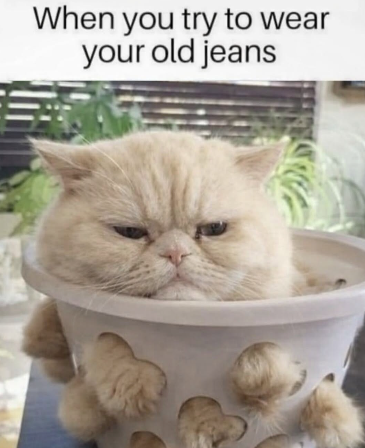 When you try to wear your old jeans