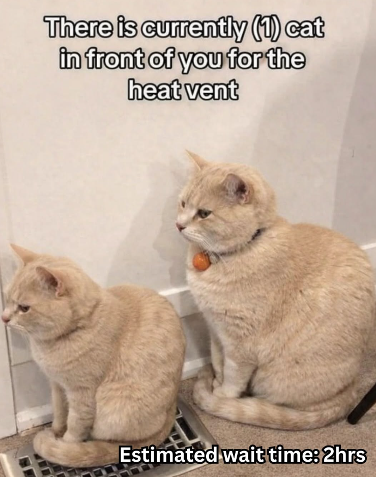 There is currently (1) cat in front of you for the heat vent Estimated wait time: 2hrs