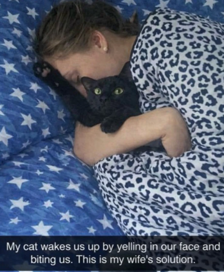 e My cat wakes us up by yelling in our face and biting us. This is my wife's solution.