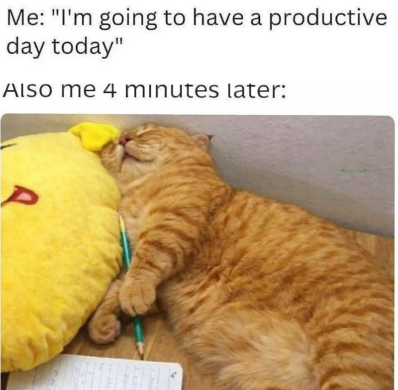 Me: "I'm going to have a productive day today" AISO me 4 minutes later: