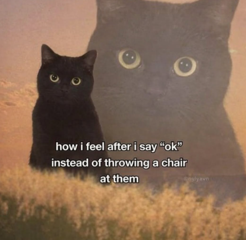 how i feel after i say "ok" instead of throwing a chair at them engiyavn