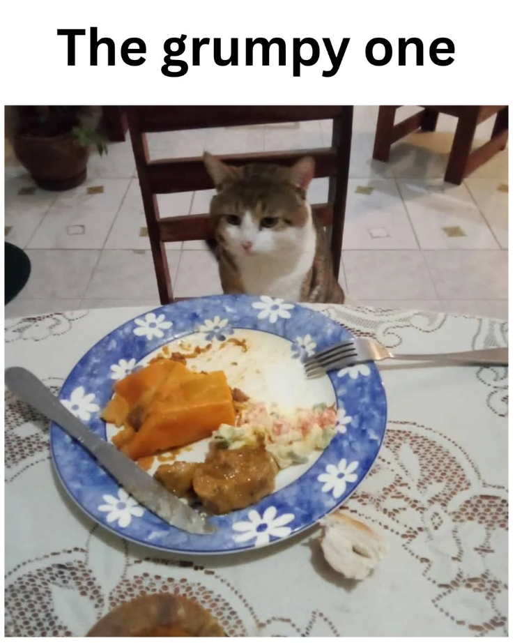 The grumpy one