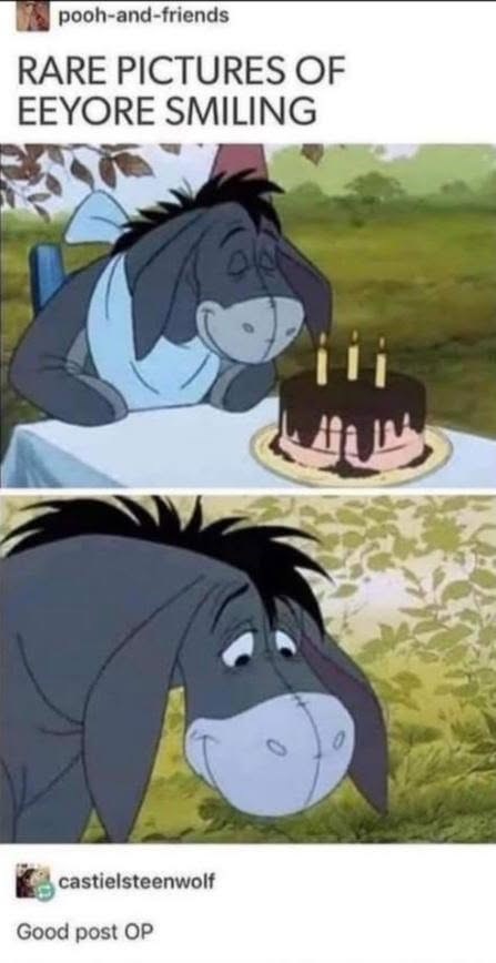 pooh-and-friends RARE PICTURES OF EEYORE SMILING castielsteenwolf Good post OP 200 0 0