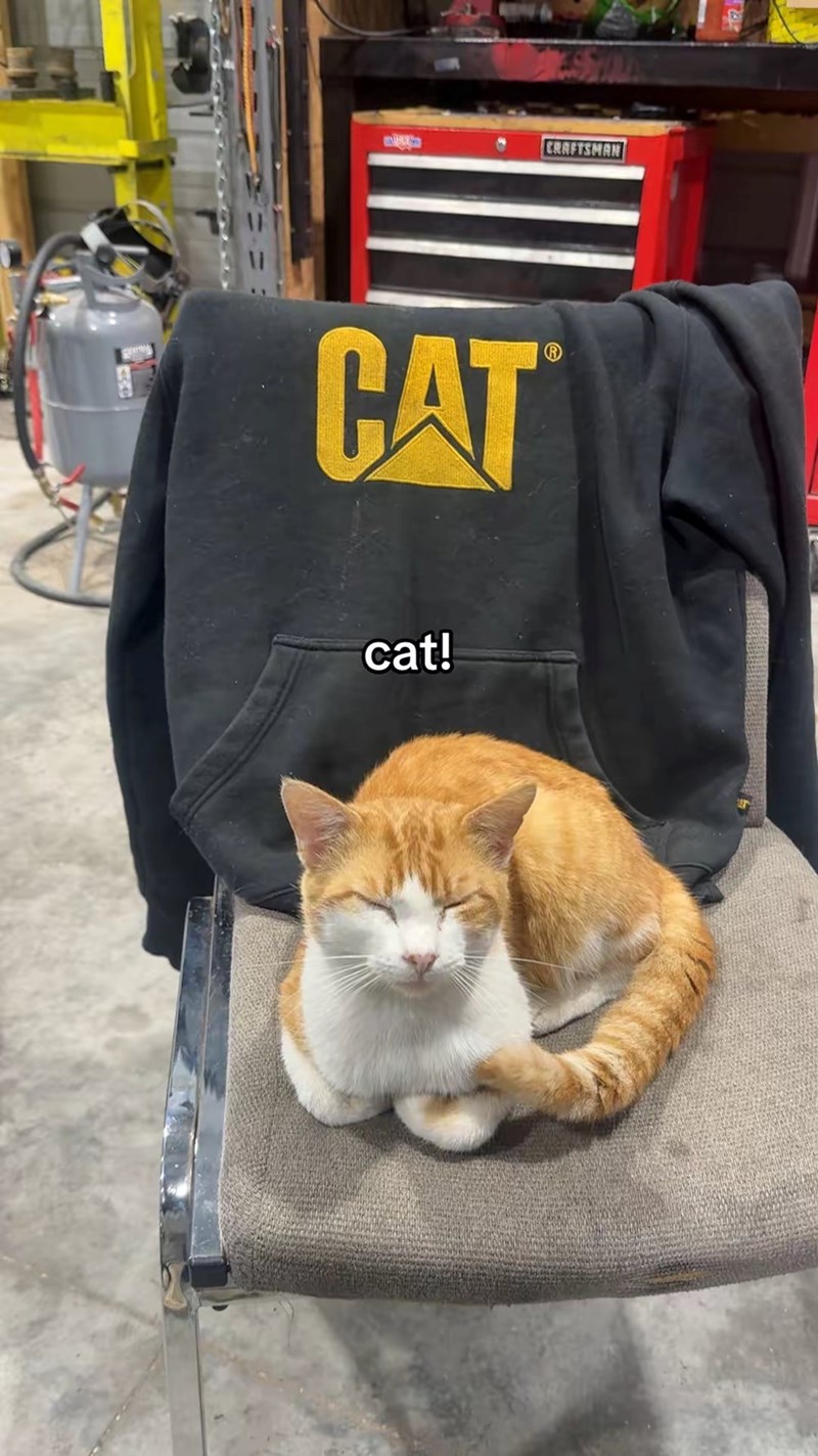 CAT cat! CRAFTSMAN