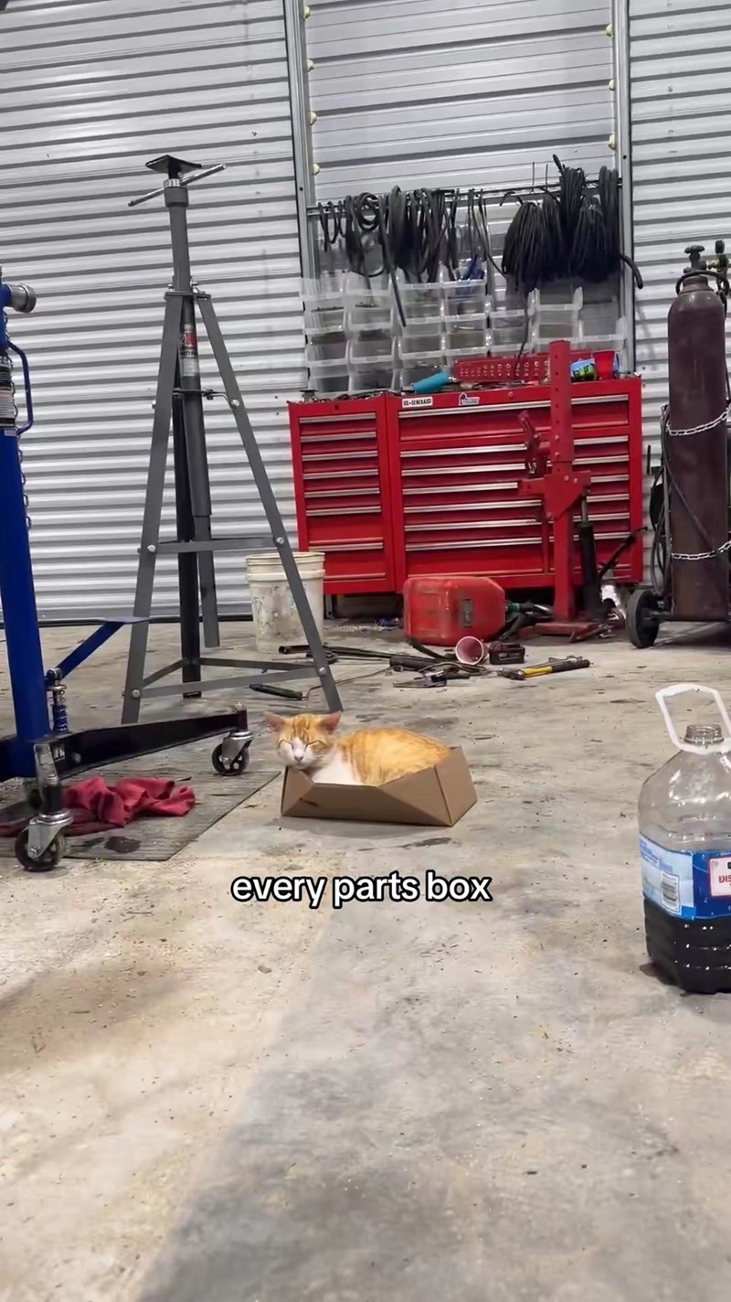 B-E every parts box DIS