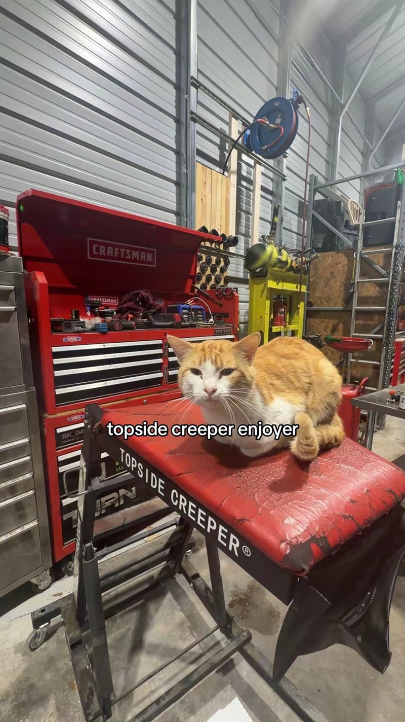 USA CRAFTSMAN EBOETSMAN AUSACS RK DA MARINE SY topside creeper enjoyer JPN TOPSIDE CREEPER®