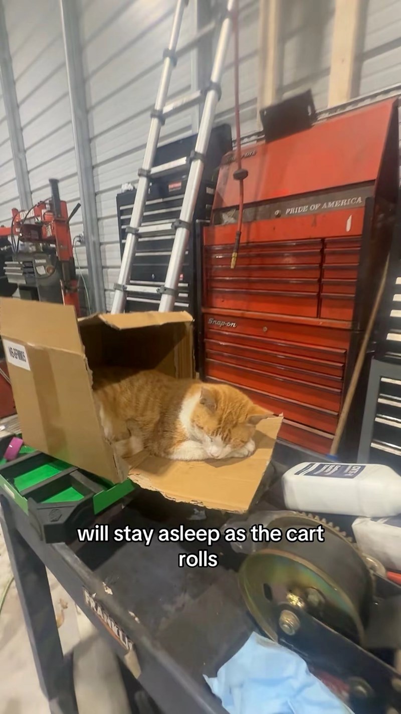 Snap-on PRIDE OF AMERICA will stay asleep as the cart rolls