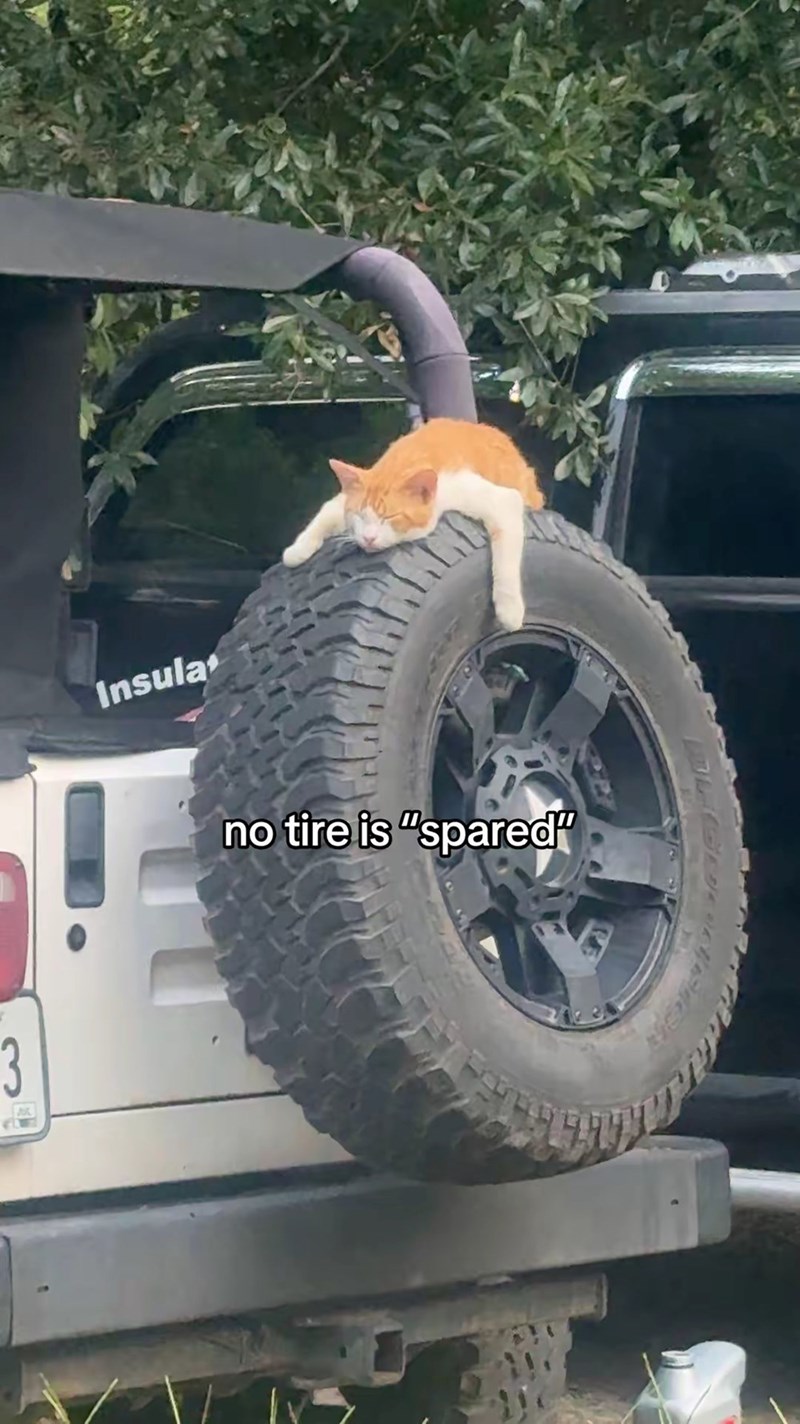 3 Insula no tire is "spared"