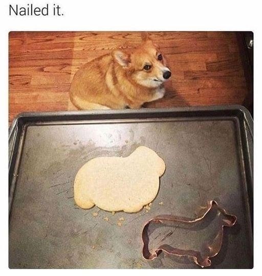 Nailed it.