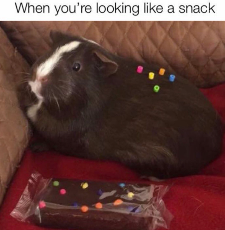 When you're looking like a snack