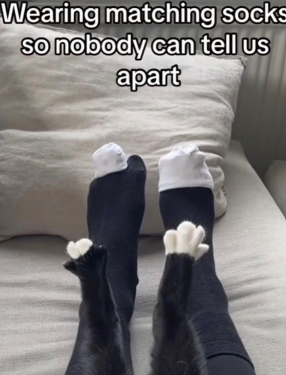 Wearing matching socks so nobody can tell us apart