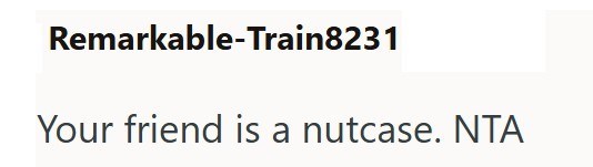 Remarkable-Train8231 Your friend is a nutcase. NTA