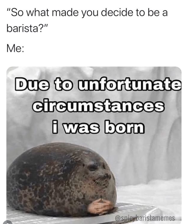 "So what made you decide to be a barista?" Me: Due to unfortunate circumstances i was born @spieybaristamemes