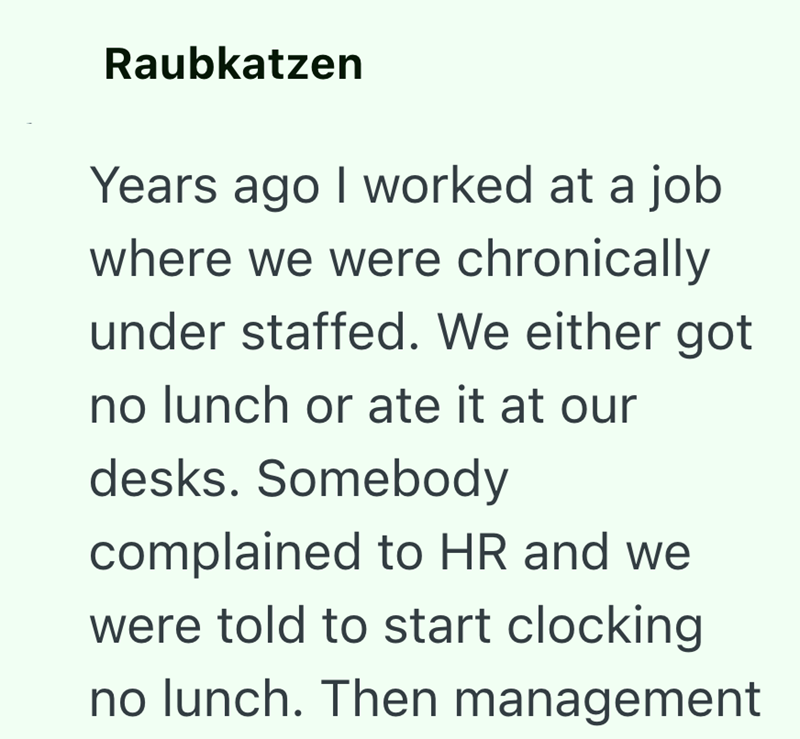 Raubkatzen Years ago I worked at a job where we were chronically under staffed. We either got no lunch or ate it at our desks. Somebody complained to HR and we were told to start clocking no lunch. Then management