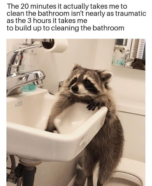 The 20 minutes it actually takes me to clean the bathroom isn't nearly as traumatic as the 3 hours it takes me to build up to cleaning the bathroom CRANE