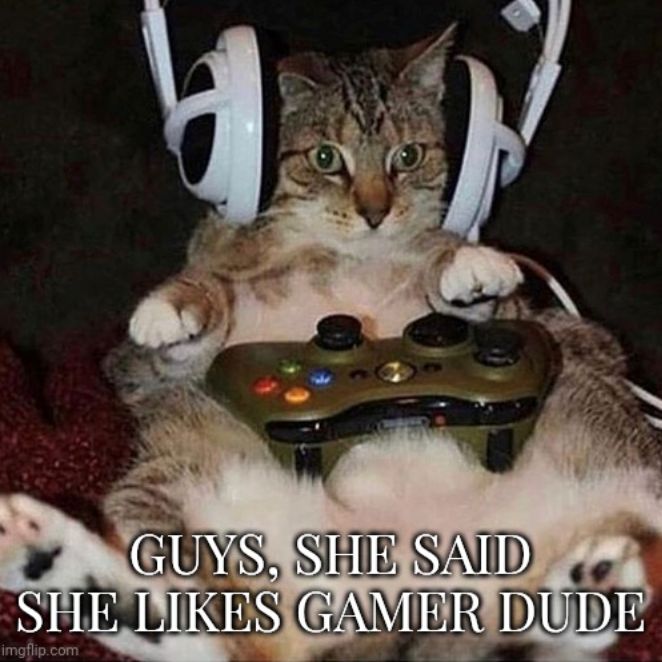 GUYS, SHE SAID SHE LIKES GAMER DUDE imgflip.com