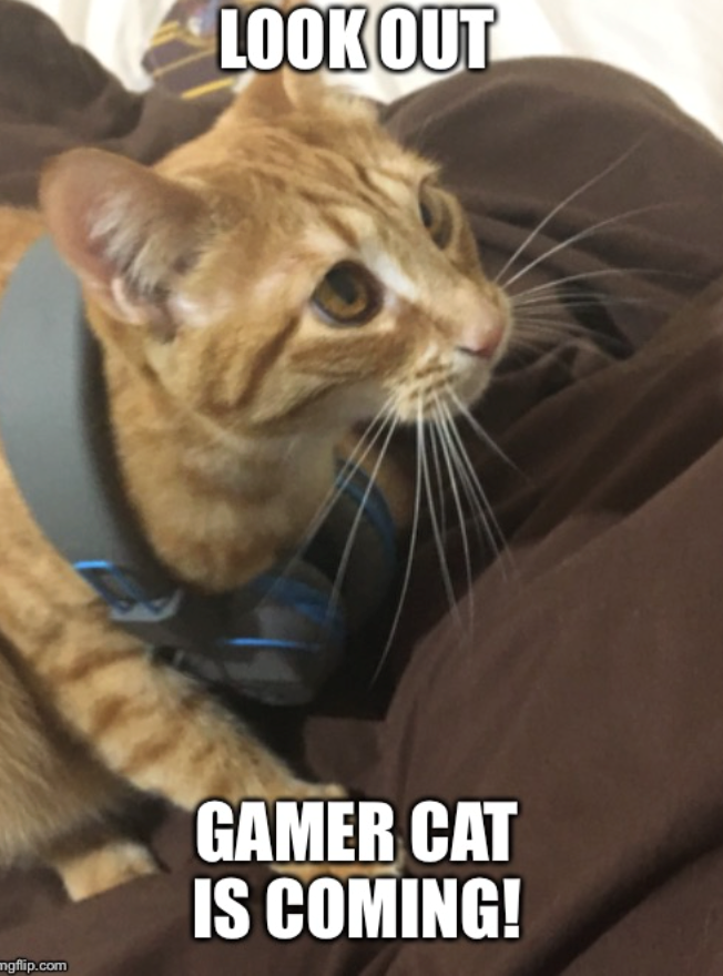 mgflip.com LOOK OUT GAMER CAT IS COMING!