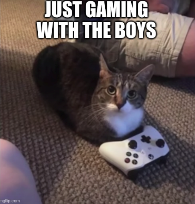 mgflip.com JUST GAMING WITH THE BOYS