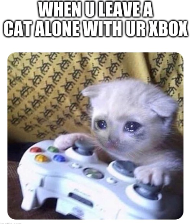 WHEN U LEAVE A CAT ALONE WITH UR XBOX 除