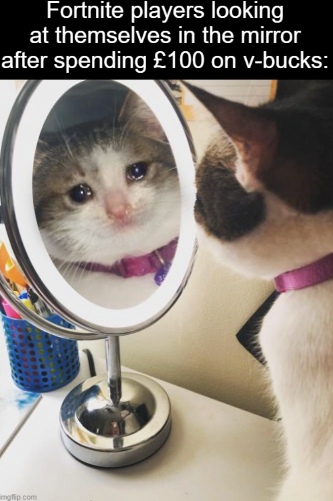 Fortnite players looking at themselves in the mirror after spending £100 on v-bucks: imgflip.com