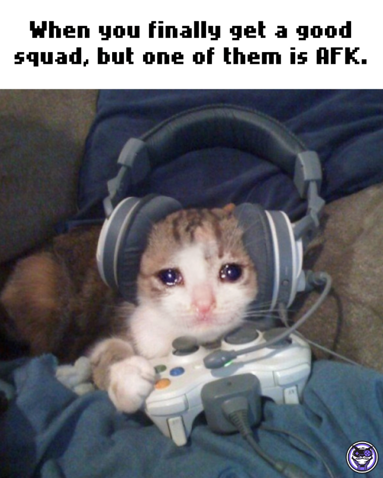 When you finally get a good squad, but one of them is AFK.