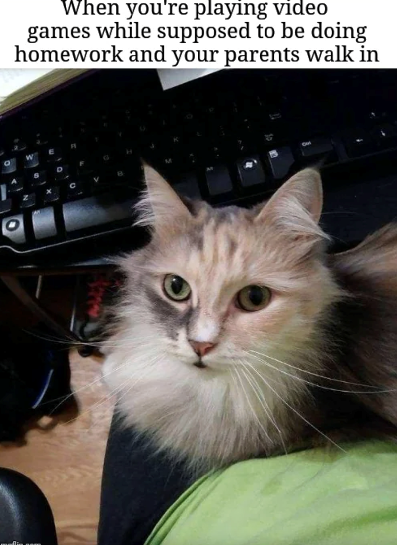 imaflin nam When you're playing video games while supposed to be doing homework and your parents walk in O W E A A S D N x C G