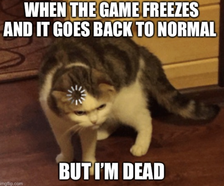 WHEN THE GAME FREEZES AND IT GOES BACK TO NORMAL imgflip.com BUT I'M DEAD