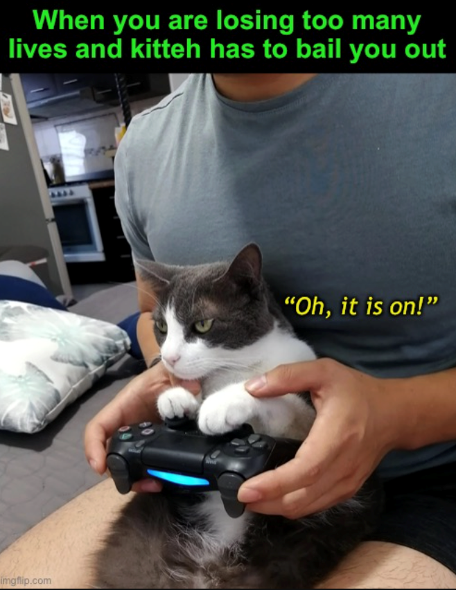 When you are losing too many lives and kitteh has to bail you out imgflip.com "Oh, it is on!"