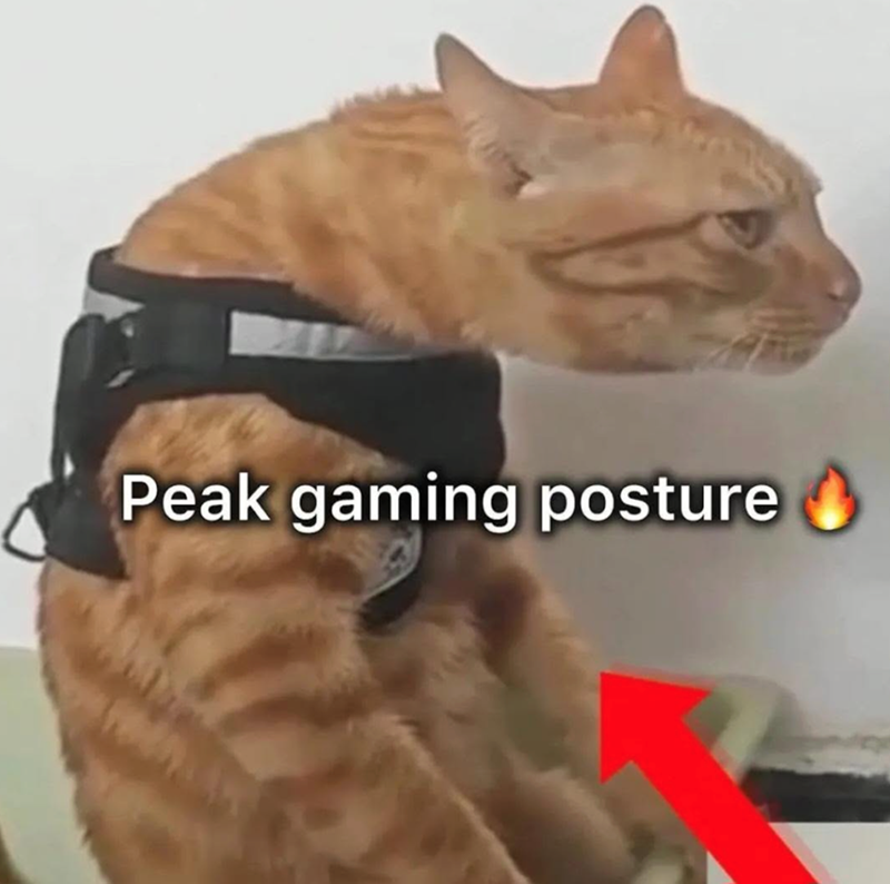 Peak gaming posture