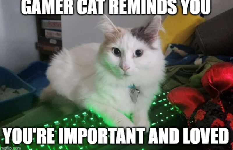 GAMER CAT REMINDS YO YOU'RE IMPORTANT AND LOVED maflip.com
