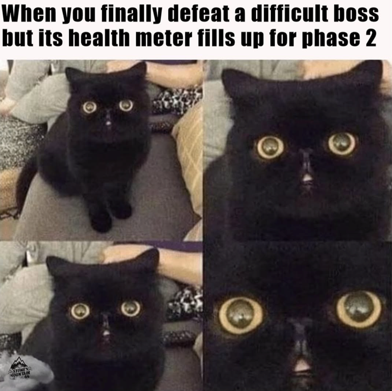 When you finally defeat a difficult boss but its health meter fills up for phase 2 64