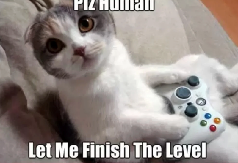 PIZ Let Me Finish The Level