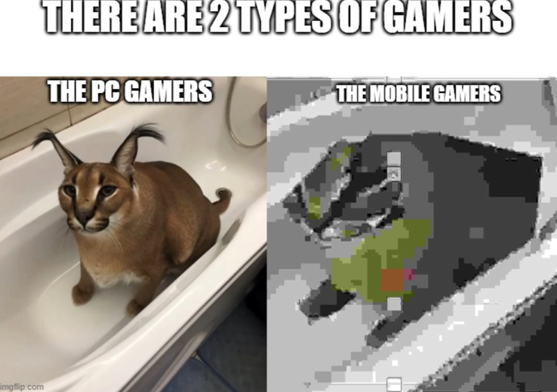 imgflip.com THERE ARE 2 TYPES OF GAMERS THE PC GAMERS THE MOBILE GAMERS