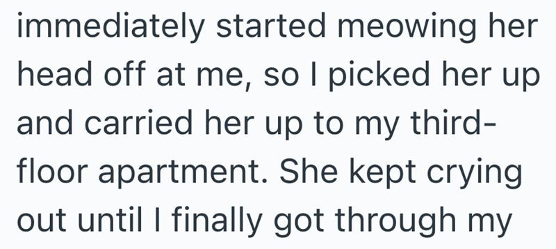 immediately started meowing her head off at me, so I picked her up and carried her up to my third- floor apartment. She kept crying out until I finally got through my