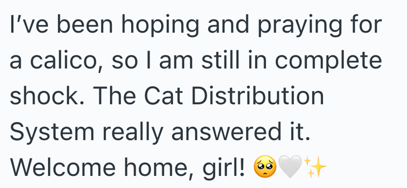 I've been hoping and praying for a calico, so I am still in complete shock. The Cat Distribution System really answered it. Welcome home, girl! ❤++