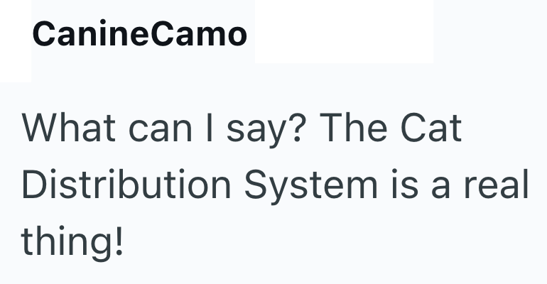 CanineCamo What can I say? The Cat Distribution System is a real thing!