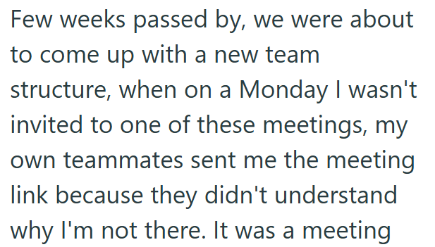 Few weeks passed by, we were about to come up with a new team structure, when on a Monday I wasn't invited to one of these meetings, my own teammates sent me the meeting link because they didn't understand why I'm not there. It was a meeting