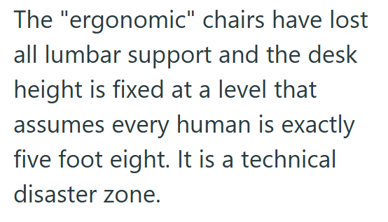 The "ergonomic" chairs have lost all lumbar support and the desk height is fixed at a level that assumes every human is exactly five foot eight. It is a technical disaster zone.