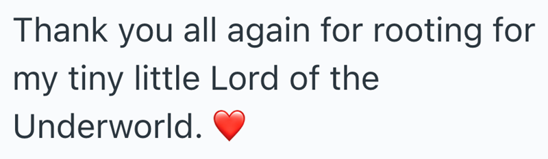 Thank you all again for rooting for my tiny little Lord of the Underworld.